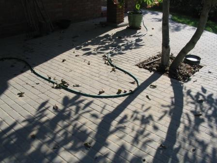 układanie kostki brukowej - najtaniej w mieście!!!